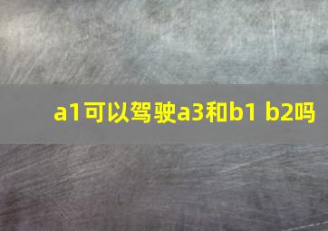 a1可以驾驶a3和b1 b2吗